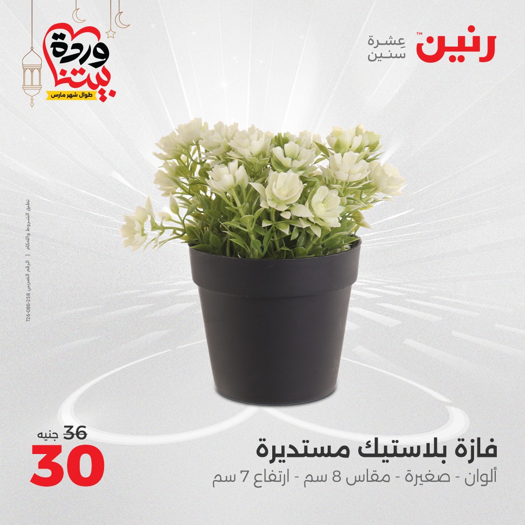 raneen offers from 23mar to 24mar 2025 عروض رنين من 23 مارس حتى 24 مارس 2025 صفحة رقم 34